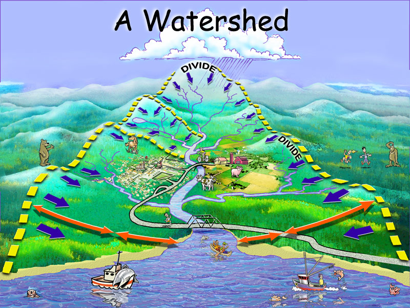Watershed